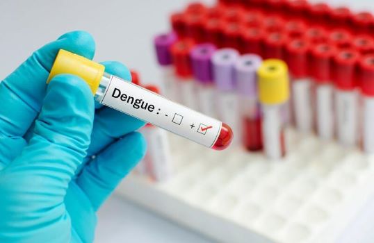 Petrópolis segue tendência nacional e vê casos de dengue crescerem quase 15 vezes