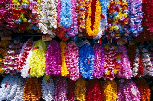 Festa do Hawai