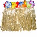 Baile do Hawai