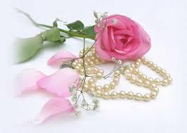 DIA INTERNACIONAL DA MULHER - HOMENAGEM ESPECIAL DO SINDICATO