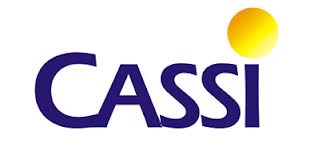 Boletim dos eleitos da Cassi mostra como usar instâncias de recursos internos