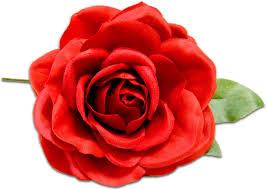 DIA INTERNACIONAL DA MULHER