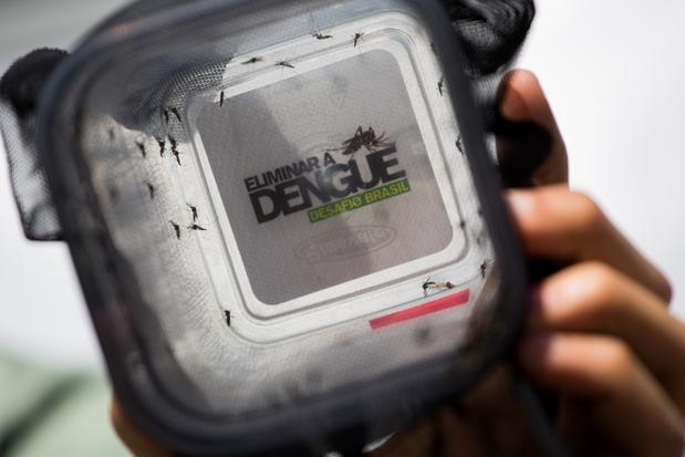 Teste para dengue e chikungunya