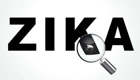 Zika: OMS declara emergência internacional em saúde pública