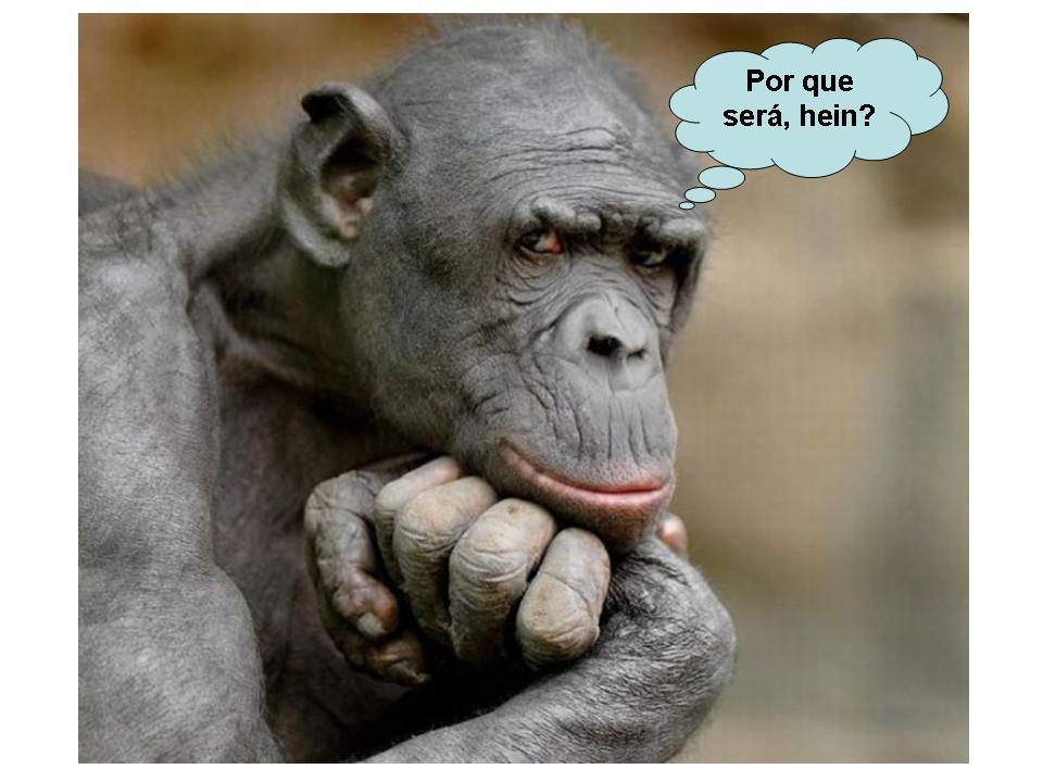 PTB desiste da nomeação de Cristiane Brasil para o Ministério do Trabalho