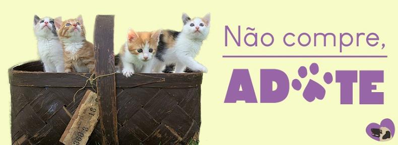 Proteja os animais!!!